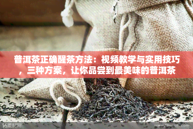 普洱茶正确醒茶方法：视频教学与实用技巧，三种方案，让你品尝到最美味的普洱茶