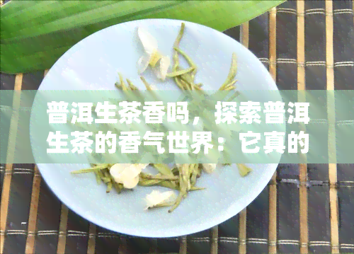 普洱生茶香吗，探索普洱生茶的香气世界：它真的香吗？