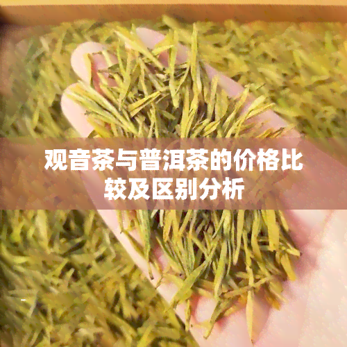 观音茶与普洱茶的价格比较及区别分析