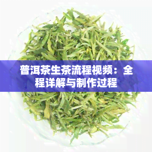 普洱茶生茶流程视频：全程详解与制作过程