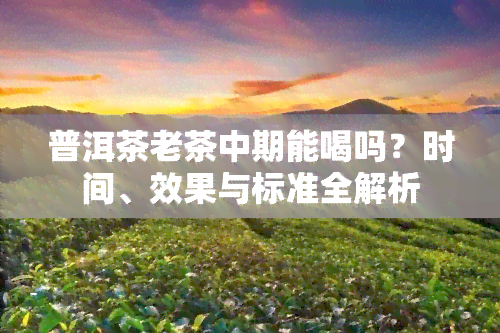 普洱茶老茶中期能喝吗？时间、效果与标准全解析