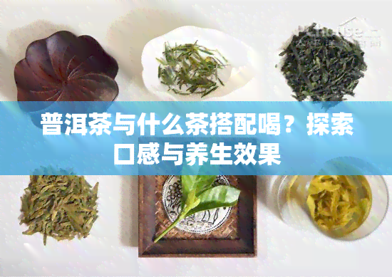 普洱茶与什么茶搭配喝？探索口感与养生效果