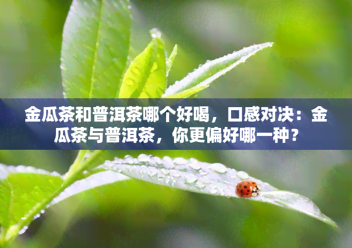 金瓜茶和普洱茶哪个好喝，口感对决：金瓜茶与普洱茶，你更偏好哪一种？