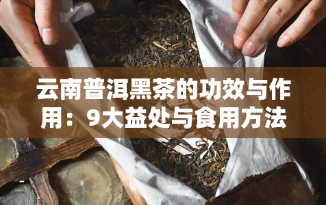 云南普洱黑茶的功效与作用：9大益处与食用方法解析