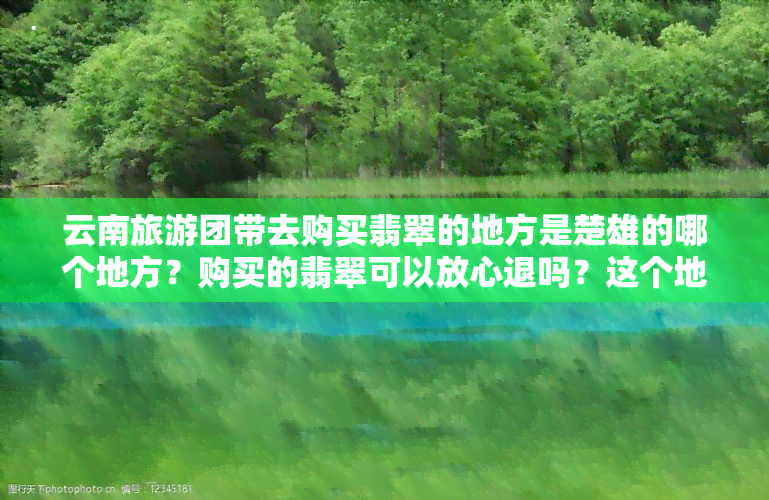 云南旅游团带去购买翡翠的地方是楚雄的哪个地方？购买的翡翠可以放心退吗？这个地方出售的翡翠是真的吗？在云南旅游团买翡翠真的可靠吗？在云南旅游景点购买的翡翠是真的吗？