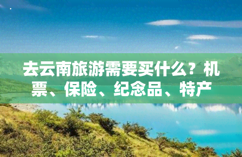 去云南旅游需要买什么？机票、保险、纪念品、特产等全攻略！