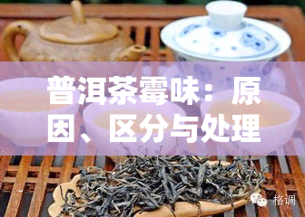 普洱茶霉味：原因、区分与处理方法