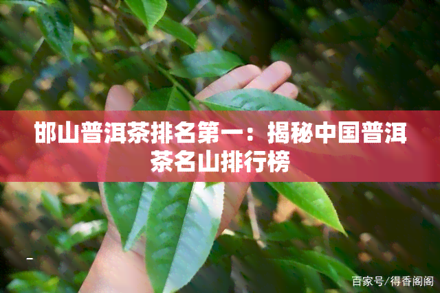 邯山普洱茶排名之一：揭秘中国普洱茶名山排行榜