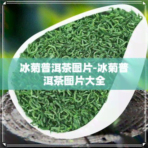 冰菊普洱茶图片-冰菊普洱茶图片大全