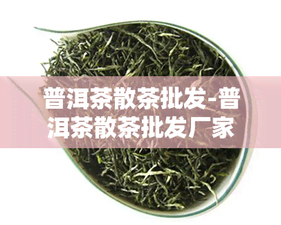 普洱茶散茶批发-普洱茶散茶批发厂家