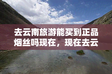 去云南旅游能买到正品烟丝吗现在，现在去云南旅游能否购买到正品烟丝？