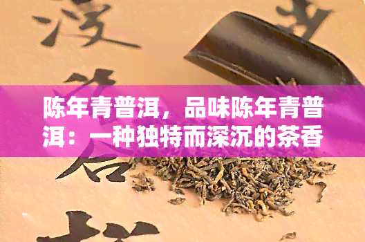 陈年青普洱，品味陈年青普洱：一种独特而深沉的茶香体验