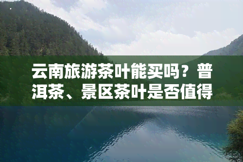 云南旅游茶叶能买吗？普洱茶、景区茶叶是否值得购买？