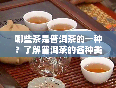 哪些茶是普洱茶的一种？了解普洱茶的各种类型及其优劣