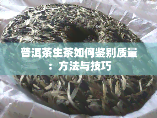 普洱茶生茶如何鉴别质量：方法与技巧