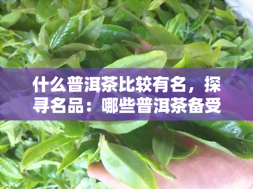 什么普洱茶比较有名，探寻名品：哪些普洱茶备受推崇？