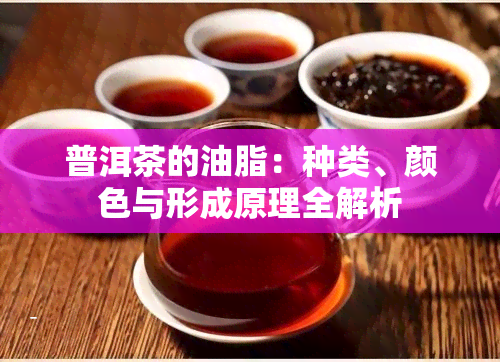 普洱茶的油脂：种类、颜色与形成原理全解析