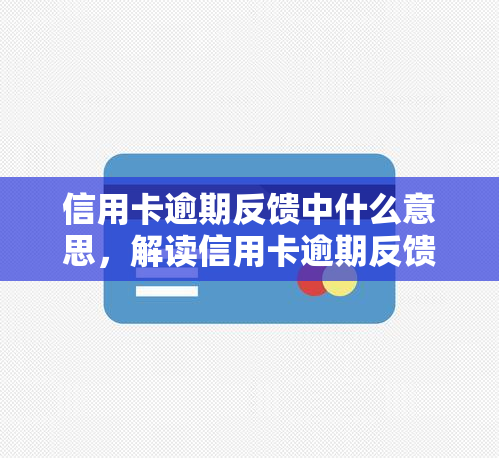 信用卡逾期反馈中什么意思，解读信用卡逾期反馈：你必须知道的含义和影响