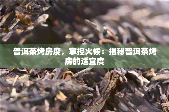 普洱茶烤房度，掌控火候：揭秘普洱茶烤房的适宜度