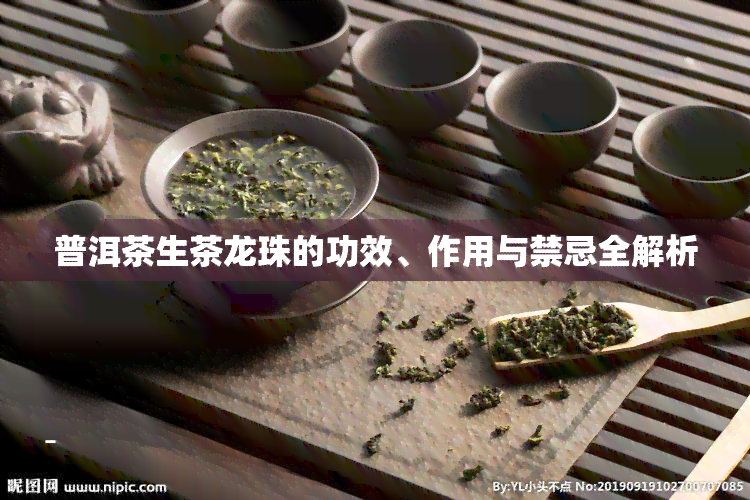 普洱茶生茶龙珠的功效、作用与禁忌全解析