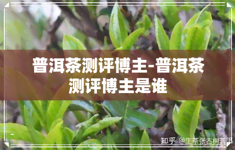 普洱茶测评博主-普洱茶测评博主是谁