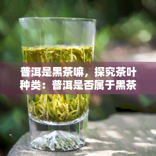 普洱是黑茶嘛，探究茶叶种类：普洱是否属于黑茶？