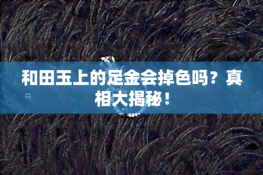 和田玉上的足金会掉色吗？真相大揭秘！