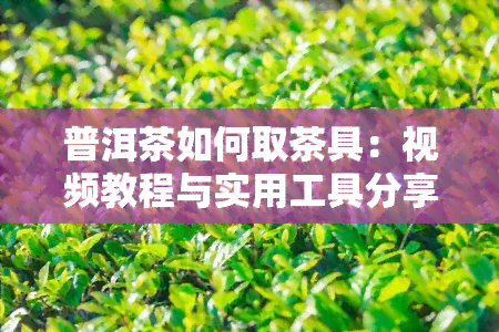 普洱茶如何取茶具：视频教程与实用工具分享