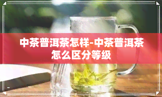 中茶普洱茶怎样-中茶普洱茶怎么区分等级