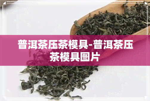 普洱茶压茶模具-普洱茶压茶模具图片