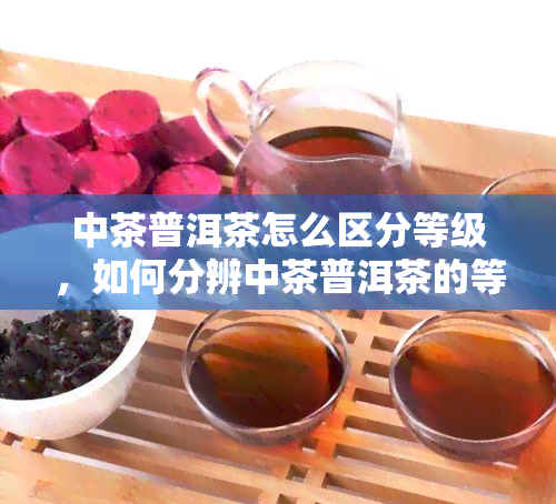 中茶普洱茶怎么区分等级，如何分辨中茶普洱茶的等级？