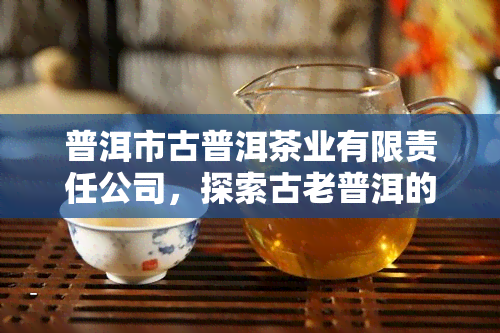 普洱市古普洱茶业有限责任公司，探索古老普洱的魅力：了解普洱市古普洱茶业有限责任公司