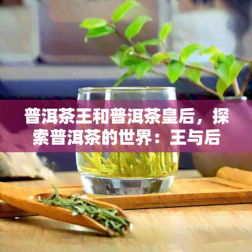 普洱茶王和普洱茶皇后，探索普洱茶的世界：王与后的传奇故事