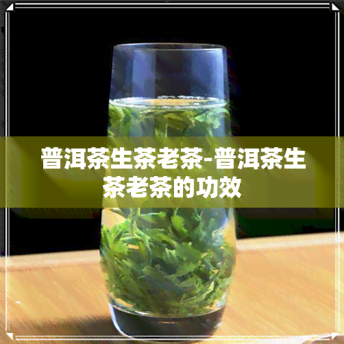 普洱茶生茶老茶-普洱茶生茶老茶的功效