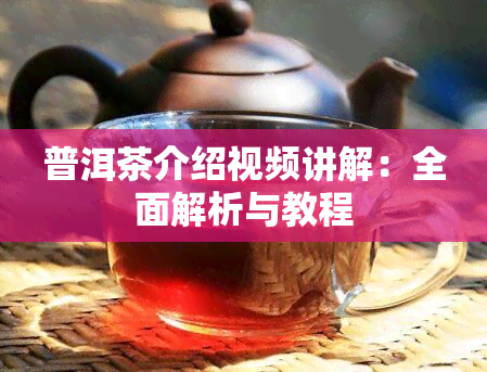 普洱茶介绍视频讲解：全面解析与教程