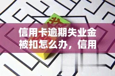 信用卡逾期失业金被扣怎么办，信用卡逾期导致失业金被扣，如何解决？