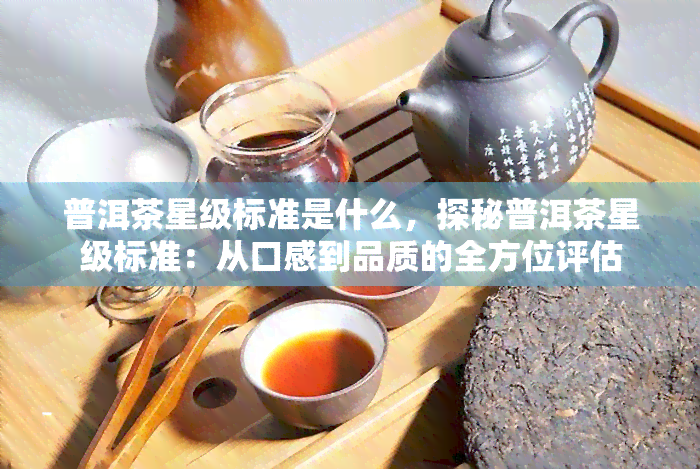 普洱茶星级标准是什么，探秘普洱茶星级标准：从口感到品质的全方位评估