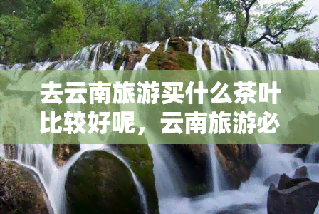 去云南旅游买什么茶叶比较好呢，云南旅游必备：推荐几种当地特色茶叶