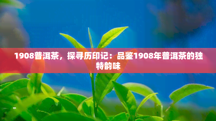 1908普洱茶，探寻历印记：品鉴1908年普洱茶的独特韵味