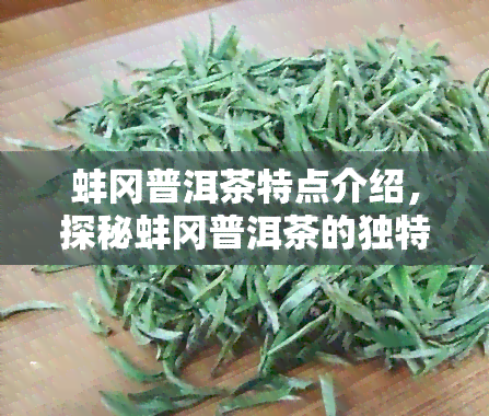 蚌冈普洱茶特点介绍，探秘蚌冈普洱茶的独特魅力：一文了解其特点与功效