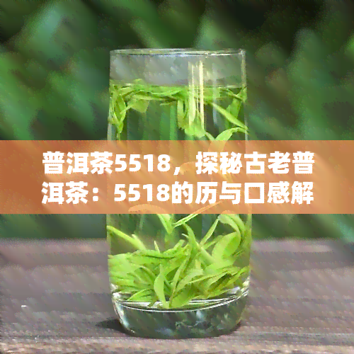 普洱茶5518，探秘古老普洱茶：5518的历与口感解析