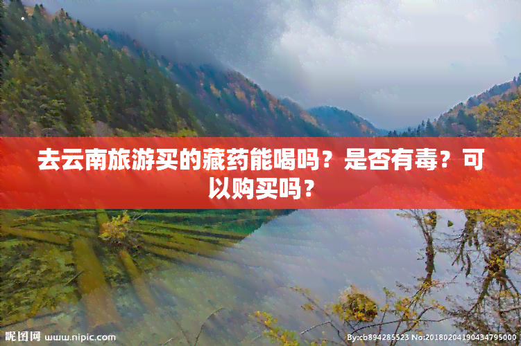 去云南旅游买的藏药能喝吗？是否有？可以购买吗？