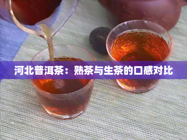 河北普洱茶：熟茶与生茶的口感对比