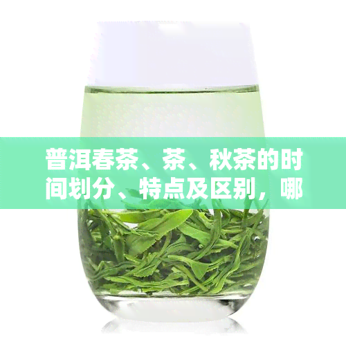 普洱春茶、茶、秋茶的时间划分、特点及区别，哪个更好？