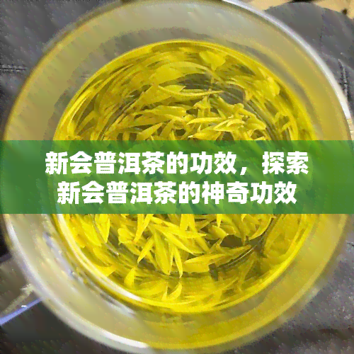 新会普洱茶的功效，探索新会普洱茶的神奇功效