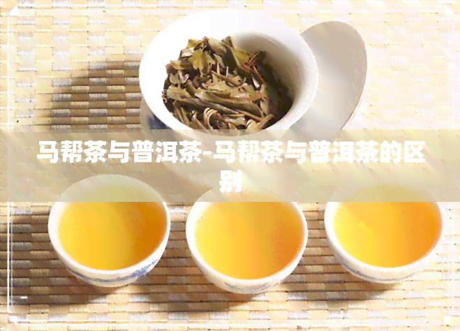 马帮茶与普洱茶-马帮茶与普洱茶的区别