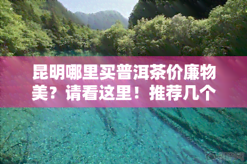 昆明哪里买普洱茶价廉物美？请看这里！推荐几个性价比高的地方，附上地址和评价。