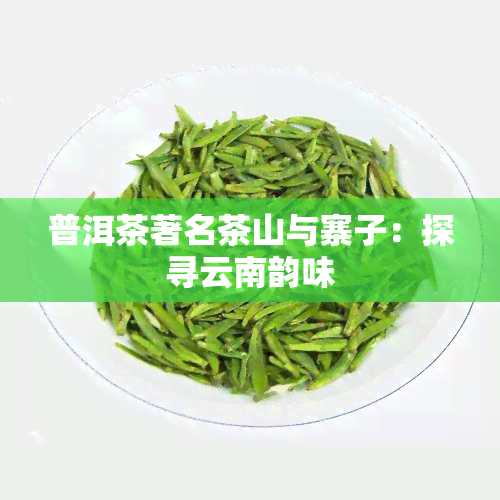 普洱茶著名茶山与寨子：探寻云南韵味