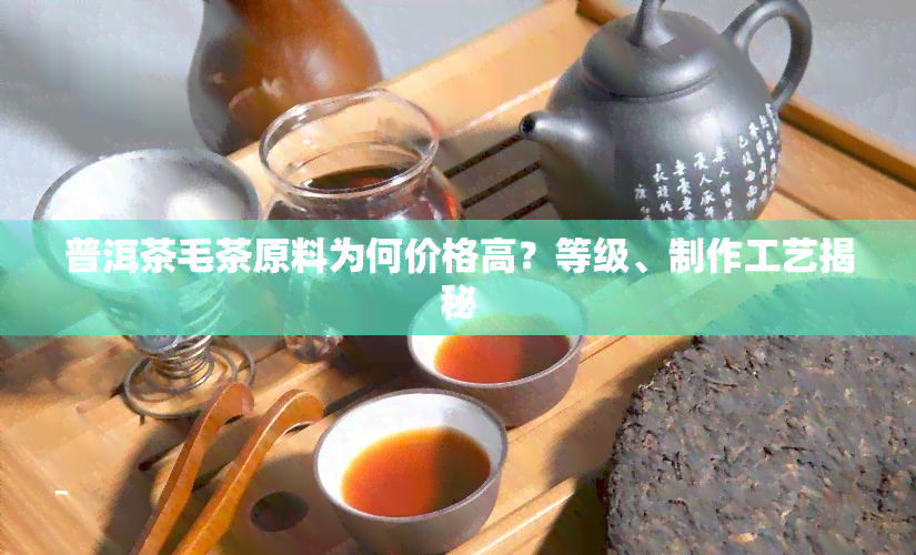 普洱茶毛茶原料为何价格高？等级、制作工艺揭秘