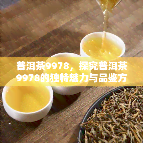 普洱茶9978，探究普洱茶9978的独特魅力与品鉴方法